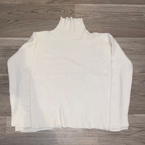 Ribbed Turtleneck Sweater